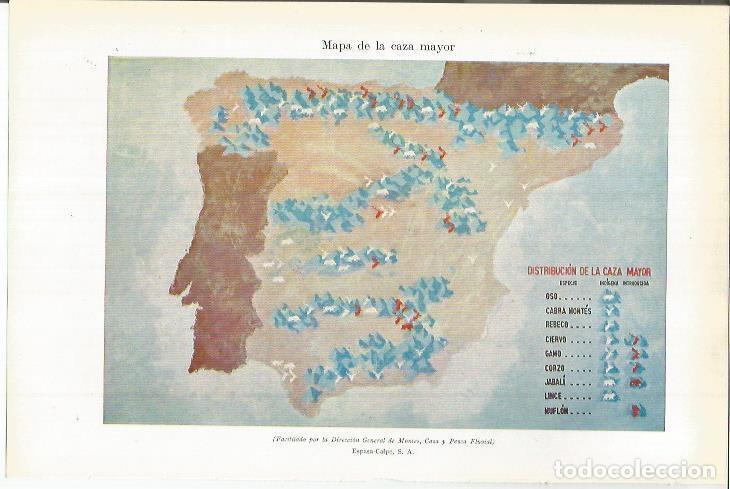 Otros art&iacute;culos de coleccionismo en papel: LAMINA ESPASA 38105: Mapa de Espa&ntilde;a de la caza mayor - Varios