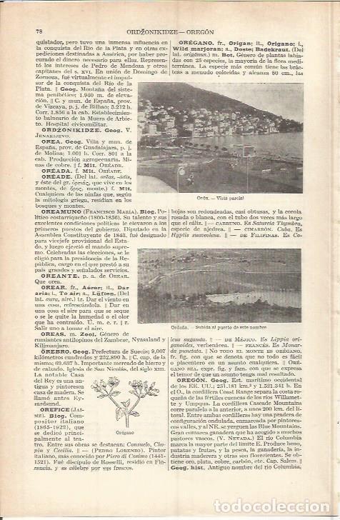 Otros art&iacute;culos de coleccionismo en papel: LAMINA ESPASA 37701: Vista de Ordu y puerto de Ordu&ntilde;a - Varios