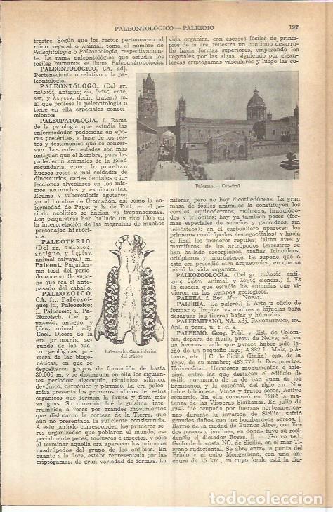 Otros art&iacute;culos de coleccionismo en papel: LAMINA ESPASA 37736: Catedral de Palermo - Varios