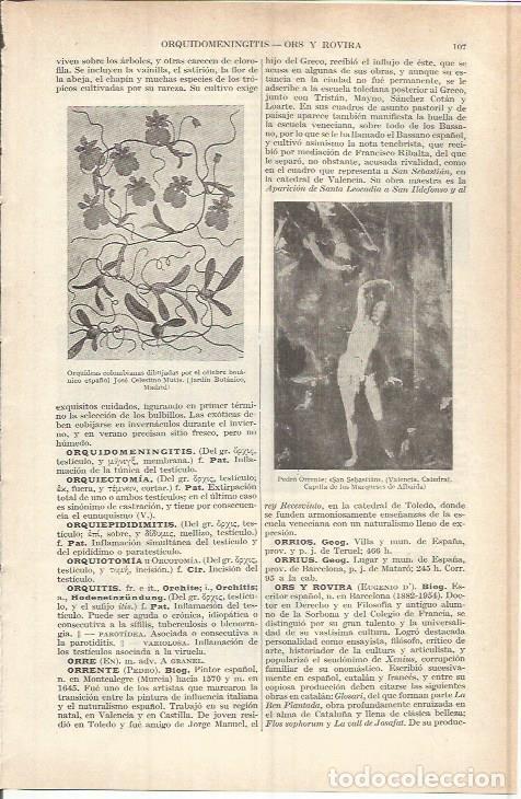 Otros art&iacute;culos de coleccionismo en papel: LAMINA ESPASA 37715: San Sebastian, por Pedro Orrente - Varios