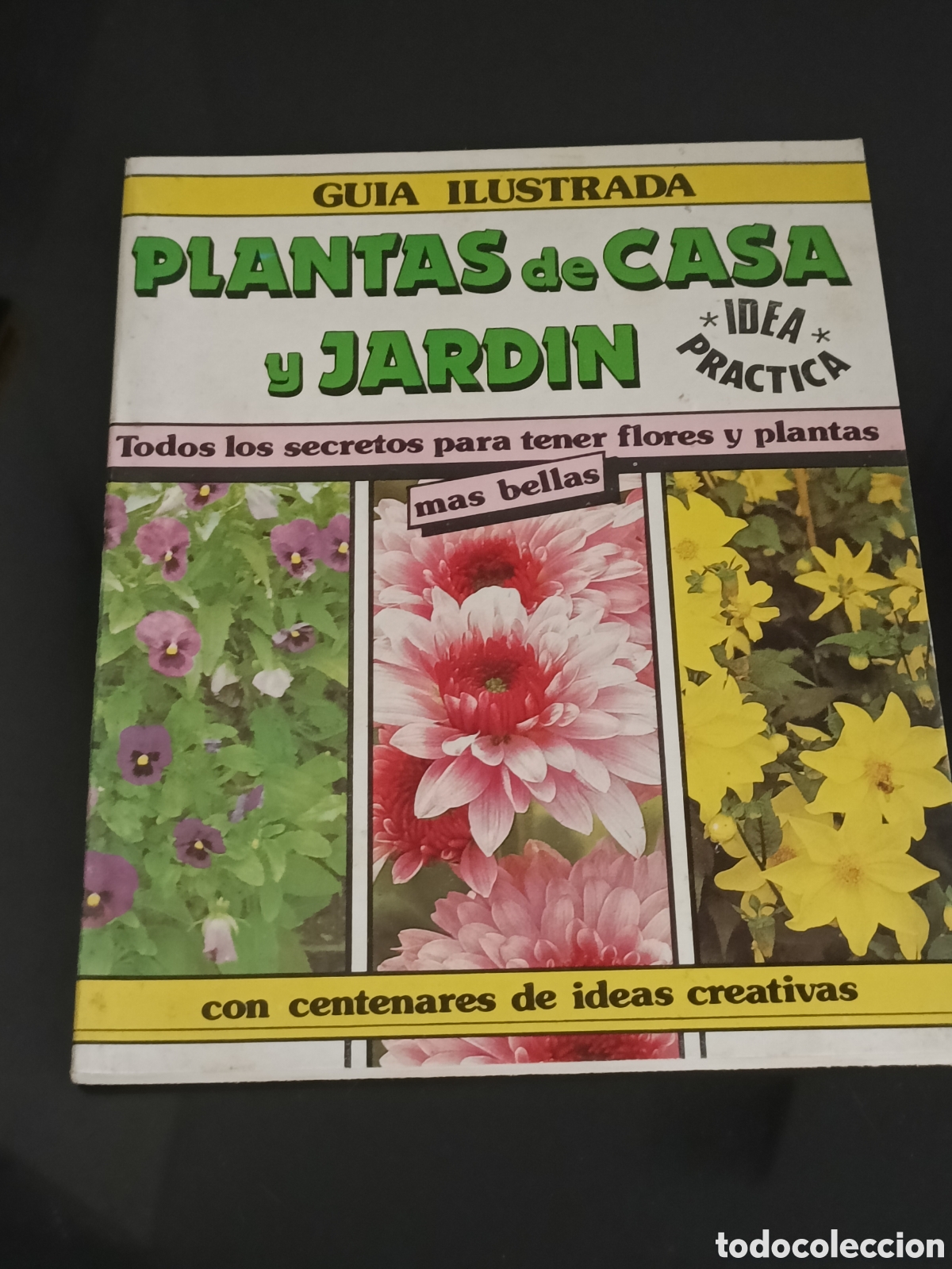 Otros Art&iacute;culos de Coleccionismo en Papel: 1990 Gu&iacute;a Ilustrada Plantas de casa y jard&iacute;n Editorial Astri
