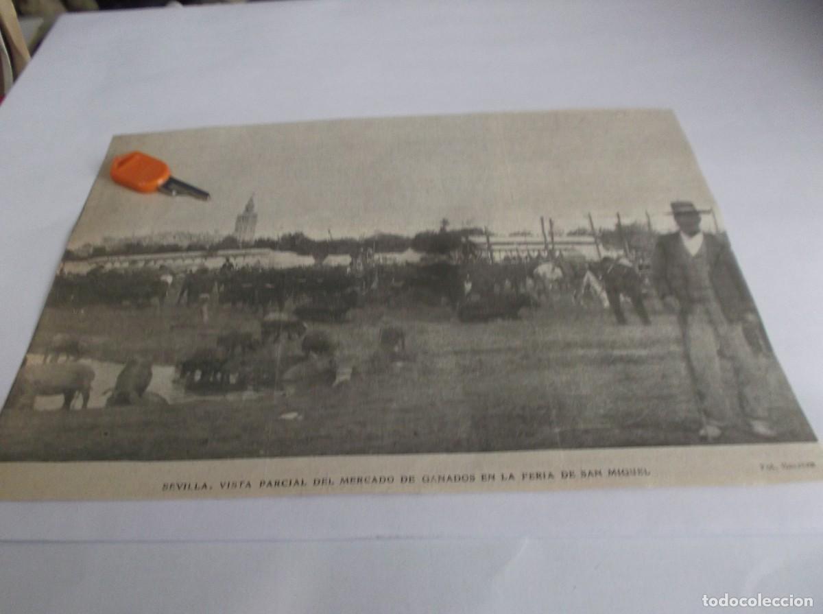 Otros Art&iacute;culos de Coleccionismo en Papel: RECORTE A&Ntilde;O 1905(SEVILLA)VISTA PARCIAL DEL MERCADO DE GANADOS EN LA FER&Iacute;A DE SAN MIGUEL