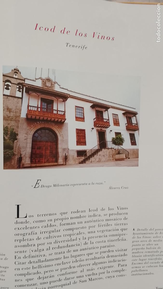 Otros Art&iacute;culos de Coleccionismo en Papel: INFORMACION GRAFICA 2 HOJAS - HISTORIA Y FOTOS A COLOR DE - TENERIFE - ICOD DE LOS VINOS