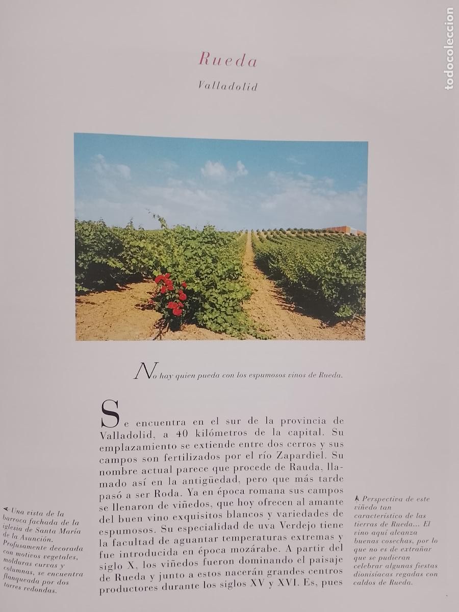 Otros Art&iacute;culos de Coleccionismo en Papel: INFORMACION GRAFICA 2 HOJAS - HISTORIA Y FOTOS A COLOR DE - VALLADOLID - RUEDA