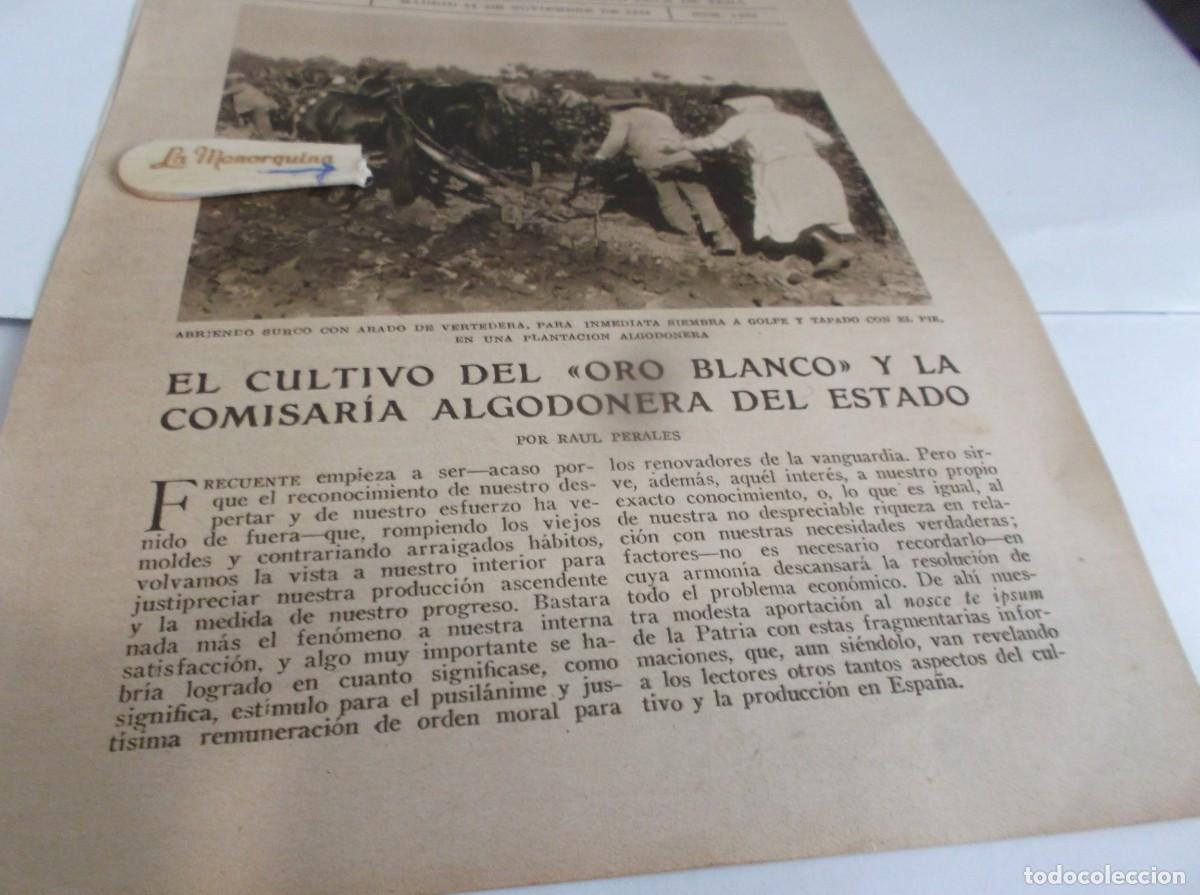 Otros Art&iacute;culos de Coleccionismo en Papel: RECORTE,8 PGN A&Ntilde;O 1926(SEVILLA)CULTIVO DE ORO BLANCO(ALGOD&Oacute;N)FACTOR&Iacute;A ALGODONERA DE TABLADILLA