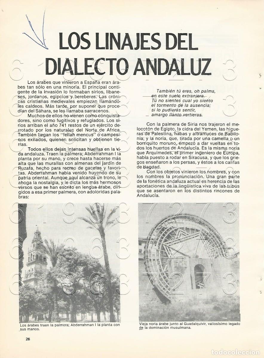 Otros Art&iacute;culos de Coleccionismo en Papel: DIALECTO ANDALUZ LOS LINAJES DEL JOSE MARIA DE MENA ARTICULO 3 HOJAS F10