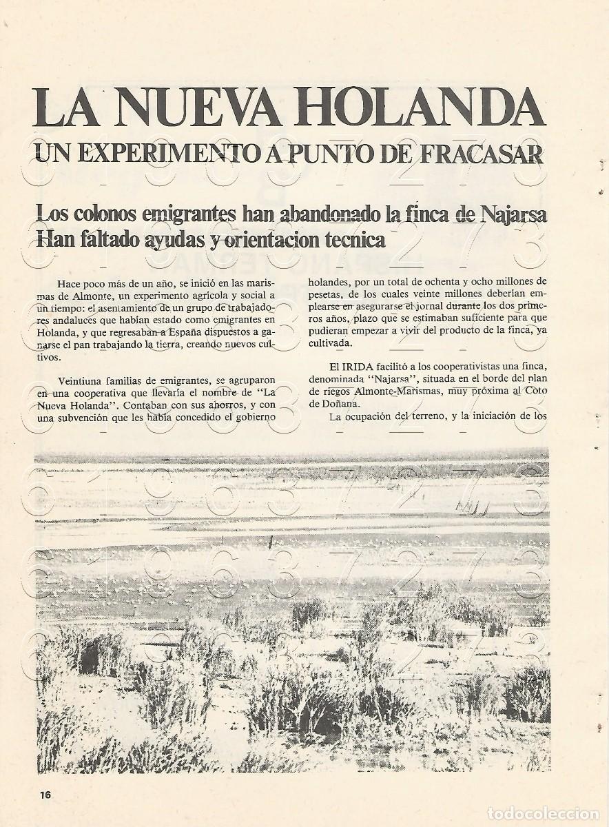 Otros Art&iacute;culos de Coleccionismo en Papel: ALMONTE LA NUEVA HOLANDA ARTICULO 2 HOJAS F10