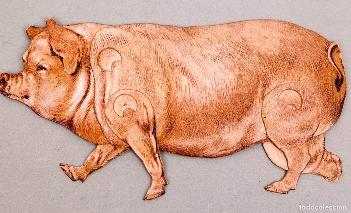 Otros Art&iacute;culos de Coleccionismo en Papel: EL CERDO NUM 7 - SUCESORES DE HERNANDO - ANIMALES MOVIBLES - 25 X 13 CM