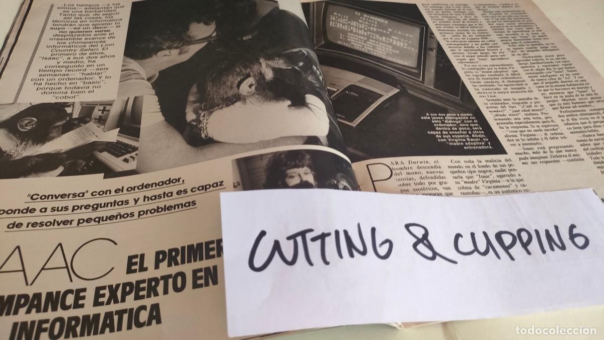 Otros Art&iacute;culos de Coleccionismo en Papel: Clipping AS340 1987 PRIMER CHIMPANC&Eacute; EXPERTO EN INFORMATICA