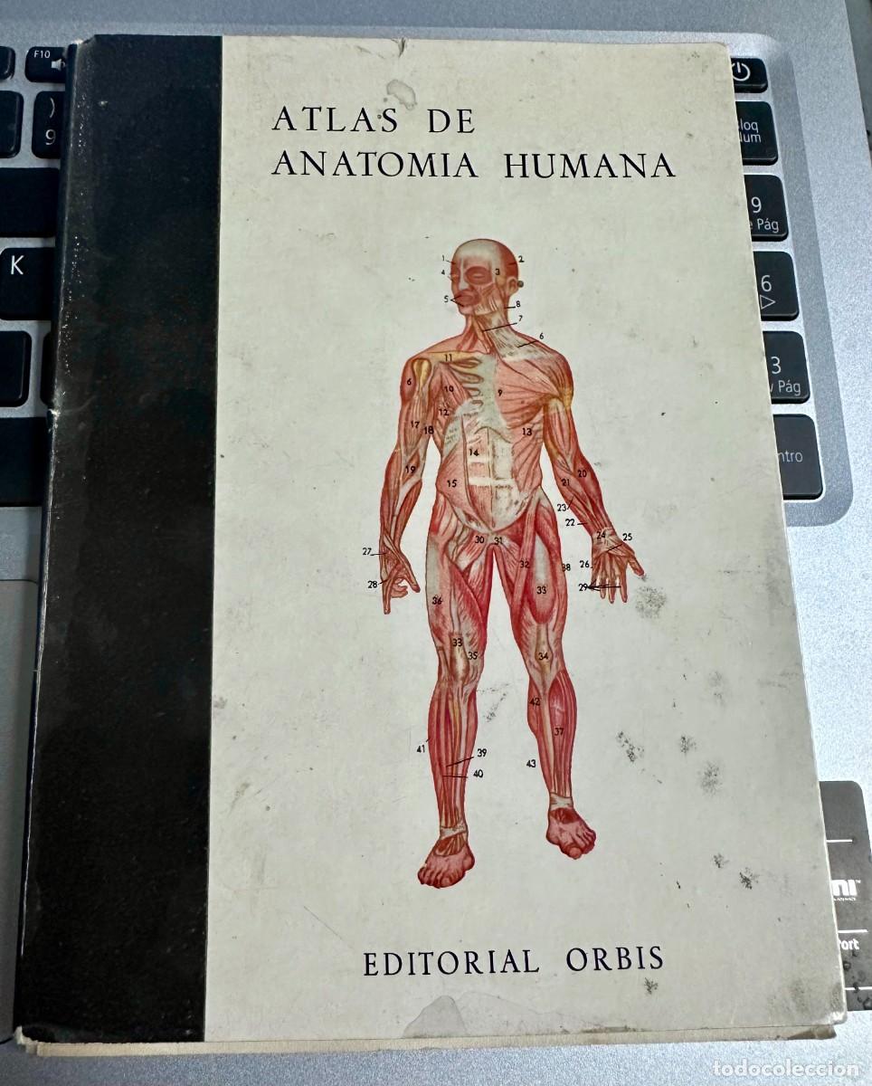 Otros Art&iacute;culos de Coleccionismo en Papel: Librito Atlas de anatom&iacute;a humana