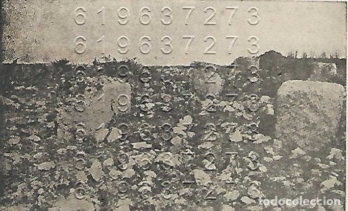 Otros Art&iacute;culos de Coleccionismo en Papel: ZAFRILLA DE CAMPOFRIO CLIPPING ANTIGUO 8X5 M16