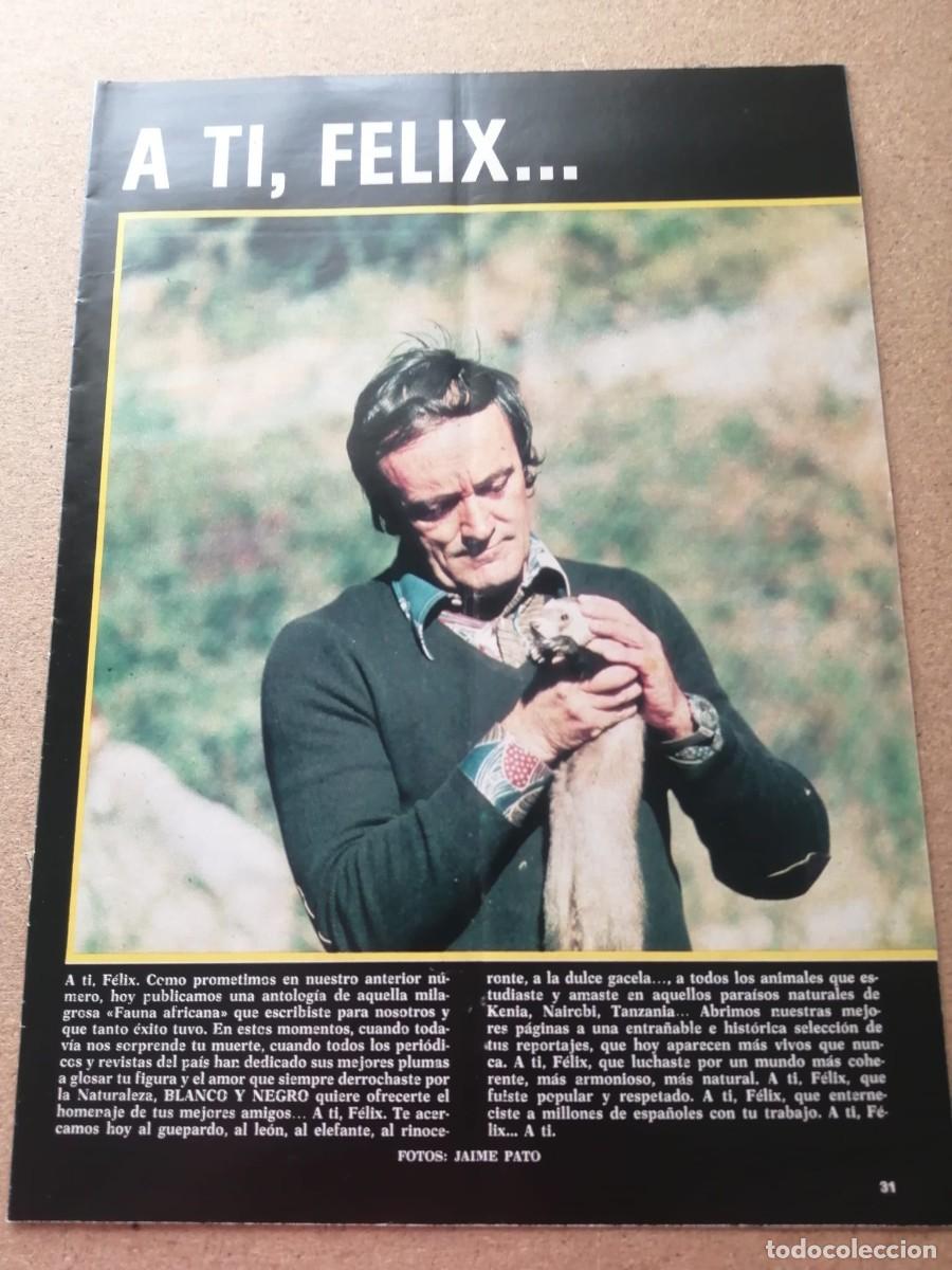 Otros Art&iacute;culos de Coleccionismo en Papel: REPORTAJE FELIX RODRIGUEZ DE LA FUENTE