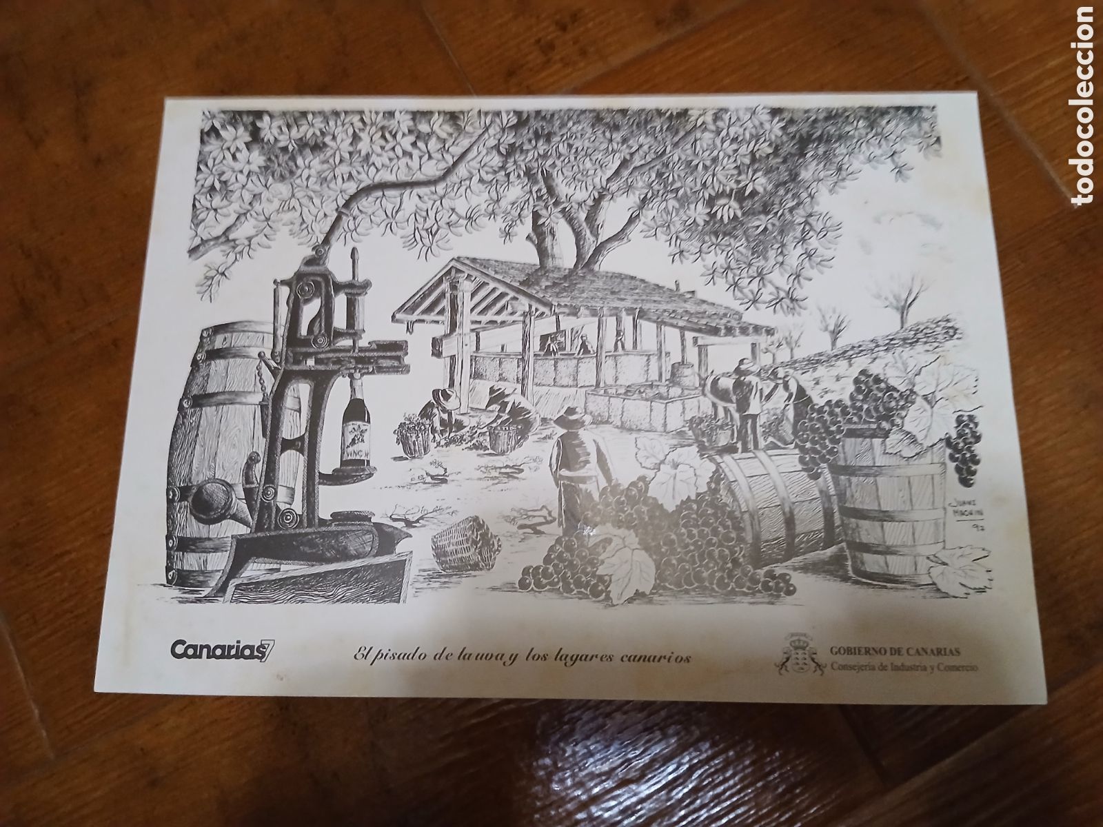 Otros Art&iacute;culos de Coleccionismo en Papel: L&aacute;minas Labores Canarias -El pisado de las uvas y los lugares canarios- Canarias 7 -25x35cm-