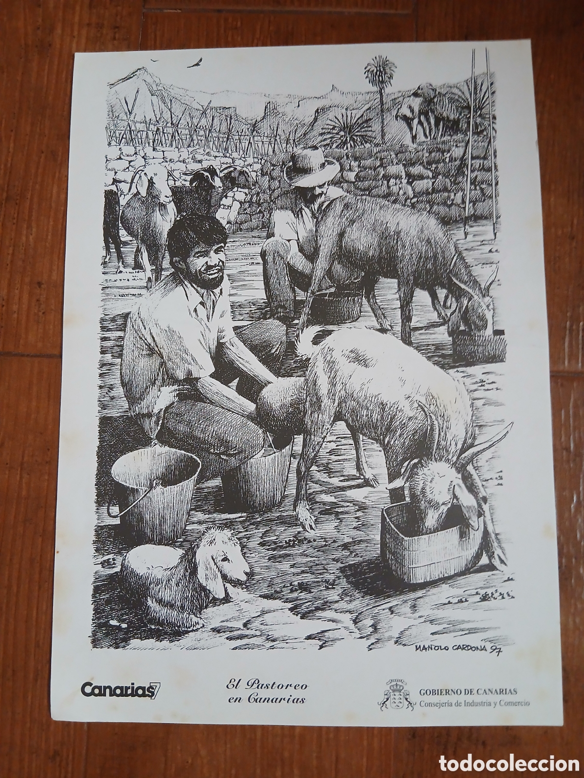 Otros Art&iacute;culos de Coleccionismo en Papel: L&aacute;minas Labores Canarias -El Pastoreo en Canarias- Canarias 7 -25x35cm-
