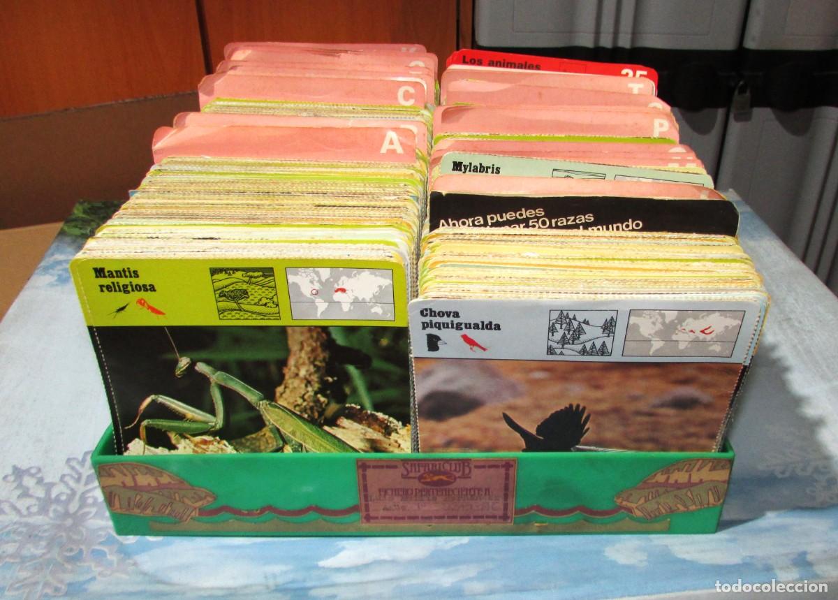 Otros Art&iacute;culos de Coleccionismo en Papel: Colecci&oacute;n fichas SAFARI CLUB