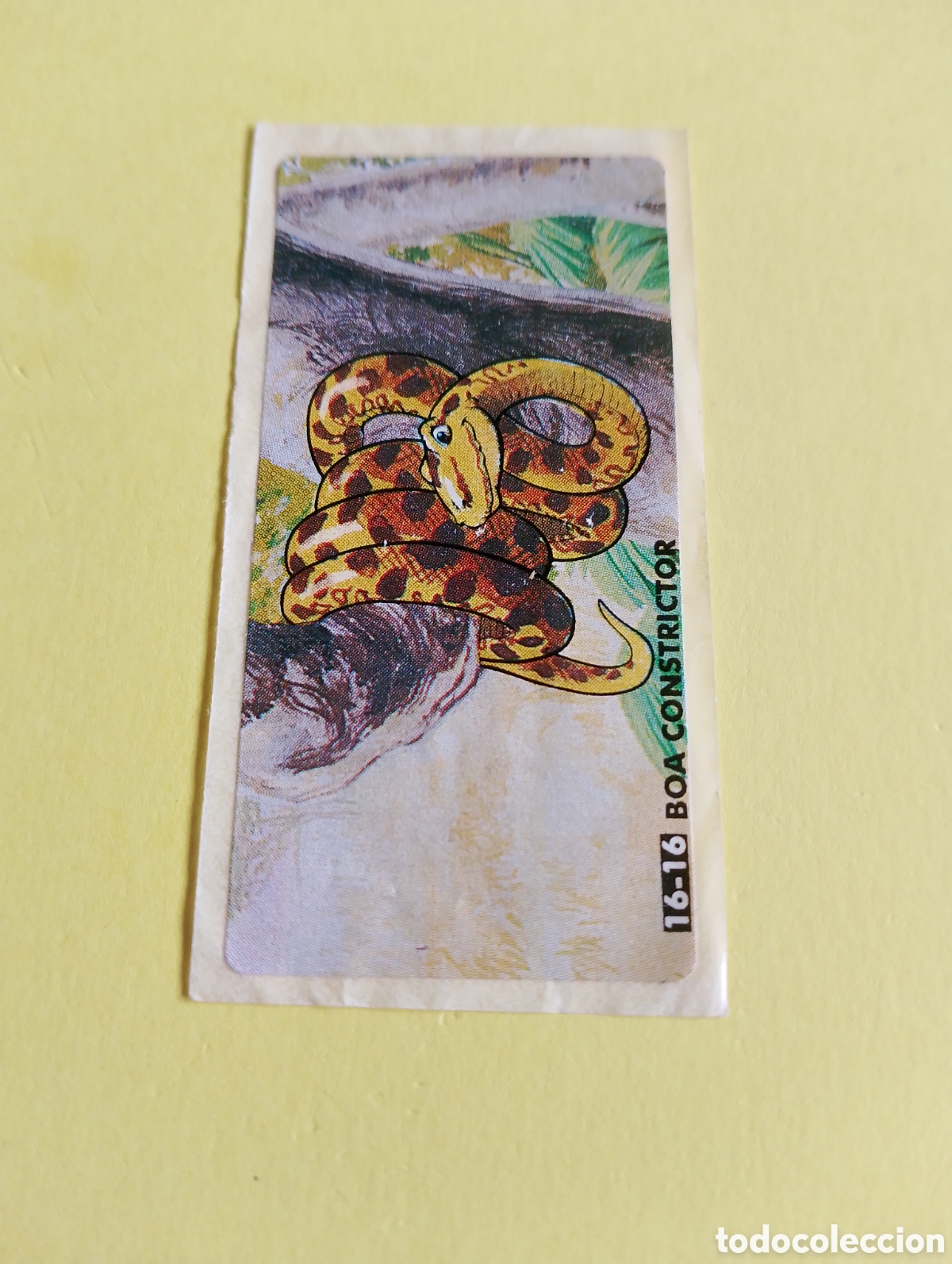 Otros Art&iacute;culos de Coleccionismo en Papel: Chicles cromos boa chicles