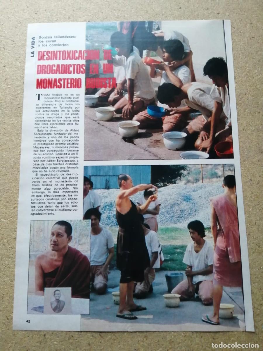 Otros Art&iacute;culos de Coleccionismo en Papel: REPORTAJE. DESINTOXICACION DE DROGADICTOS EN UN MONASTERIO BUDISTA