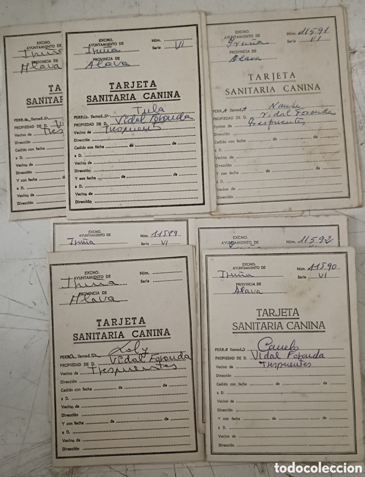 Otros Art&iacute;culos de Coleccionismo en Papel: Lote de tarjetas sanitarias caninas