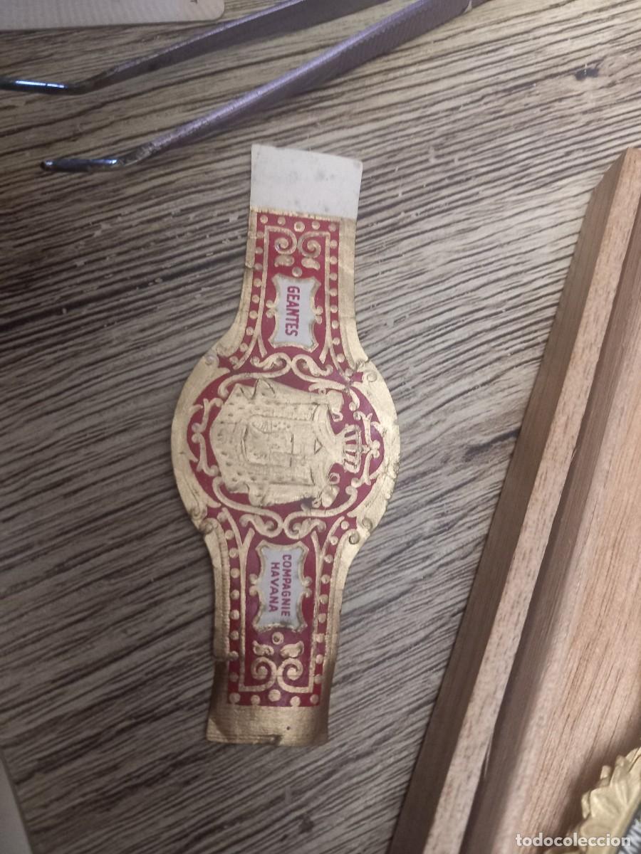 Otros Art&iacute;culos de Coleccionismo en Papel: &ldquo;Vintage Large Cigar Bands Collection Scenic Views&rdquo;
