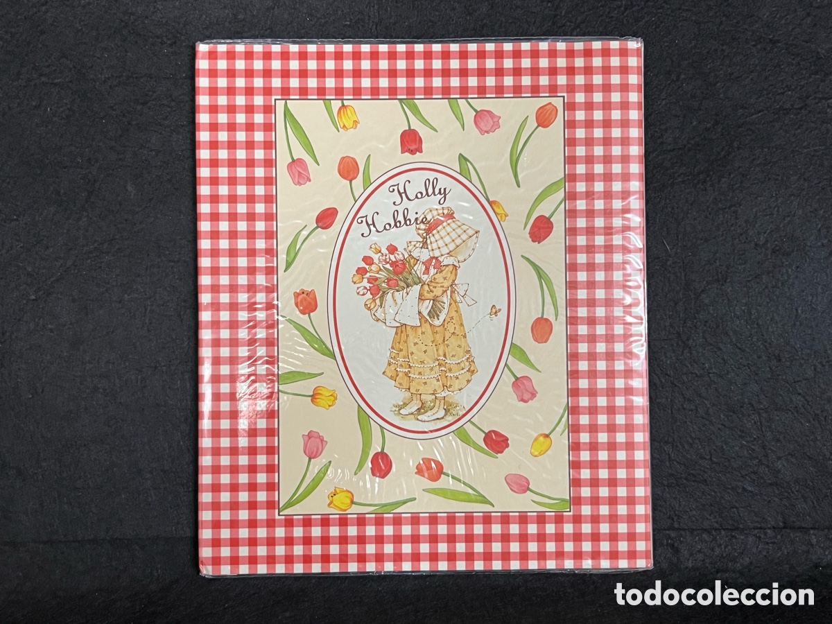 Otros Art&iacute;culos de Coleccionismo en Papel: HOLLY HOBBIE SET PAPEL 10 SOBRES 10 CARTAS DIS2 VINTAGE 1980&rsquo;s NUEVO ORIGINAL PAPELERIA.