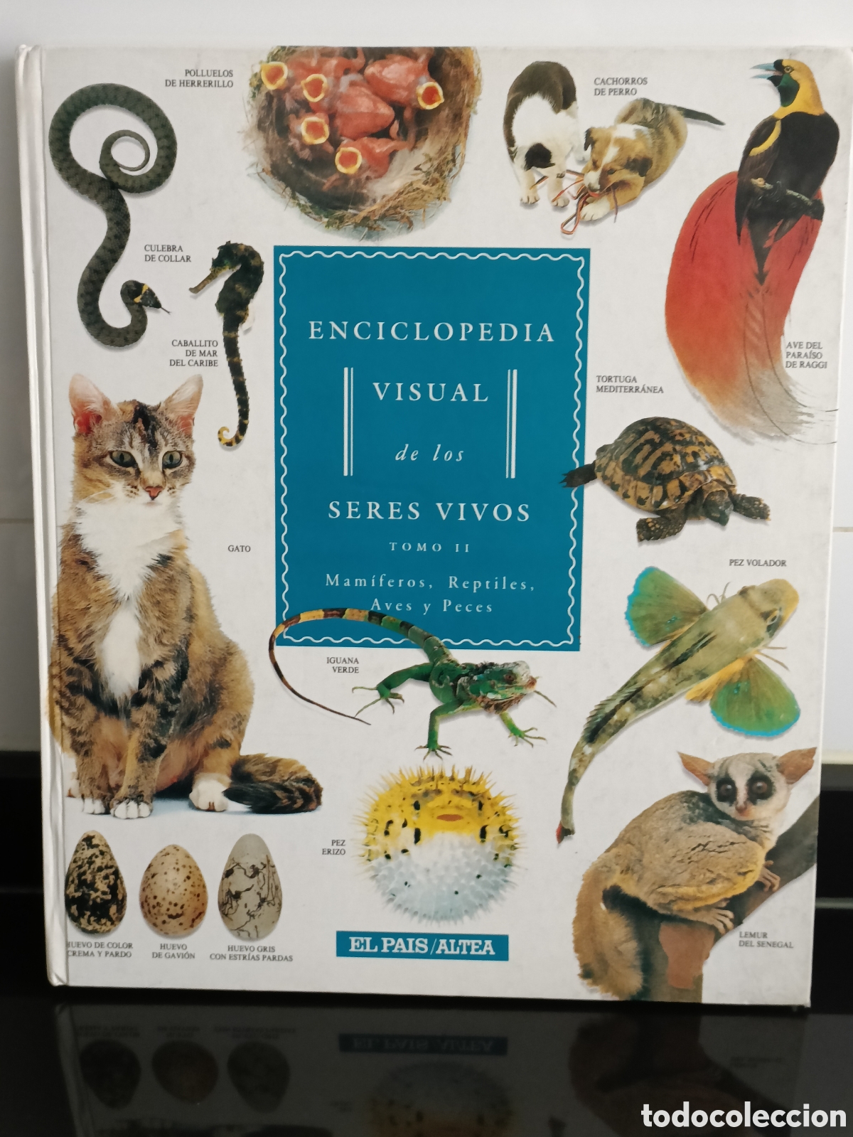 Otros Art&iacute;culos de Coleccionismo en Papel: Enciclopedia Visual de los Seres Vivos publicada por El Pa&iacute;s/Altea