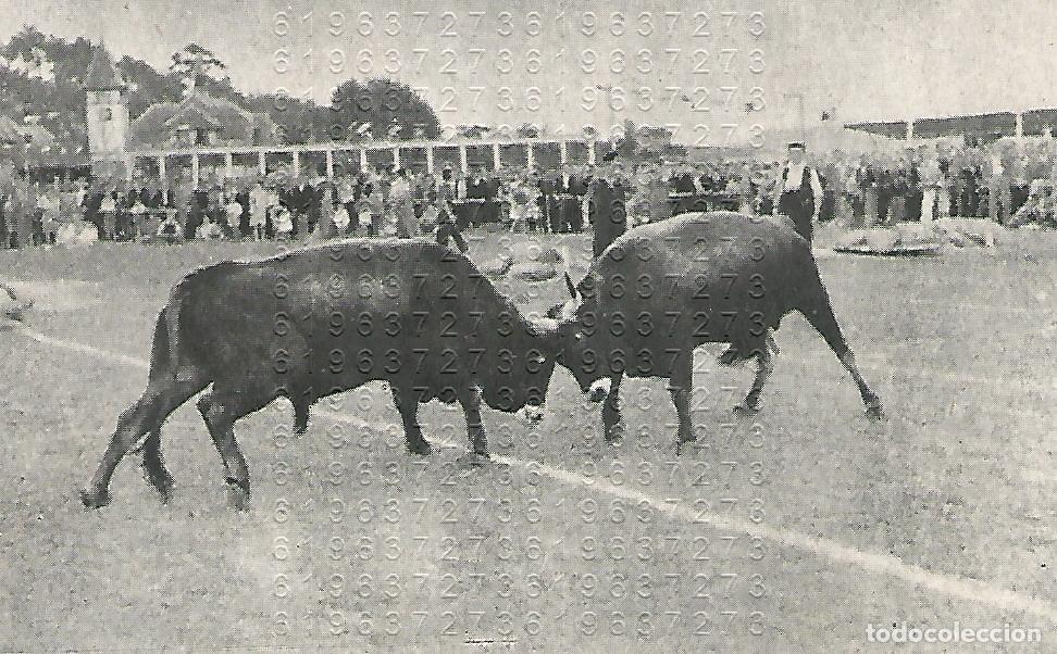 Altri oggetti di carta: SANTANDER TOROS TUDANCOS 12X7 CLIPPING ANTIGUO B43