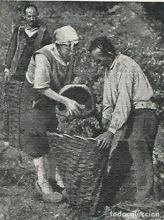 Otros Art&iacute;culos de Coleccionismo en Papel: SANTANDER PICOS DE EUROPA 9X6 CLIPPING ANTIGUO B43