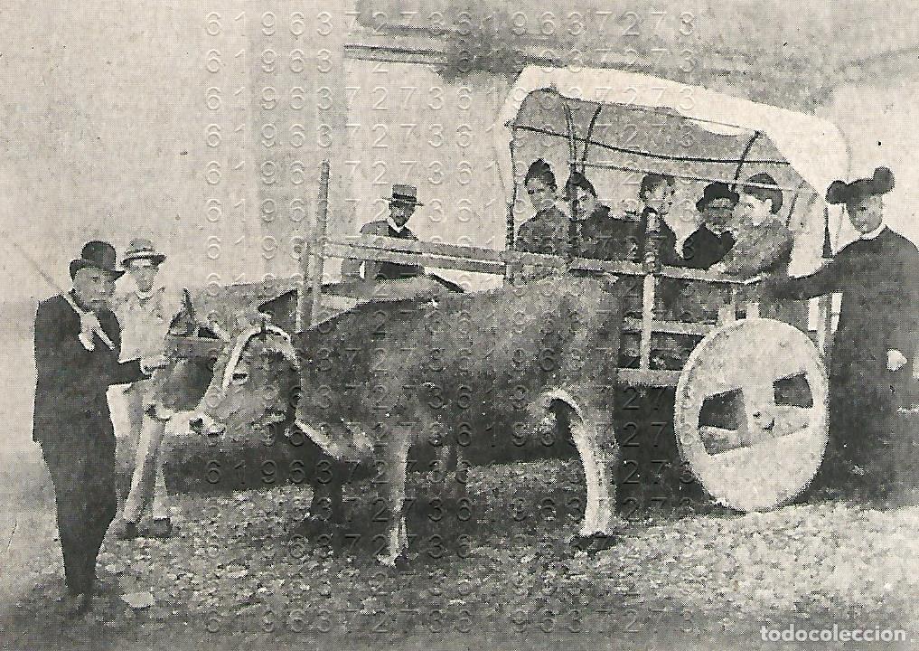 Otros Art&iacute;culos de Coleccionismo en Papel: SANTANDER CARRETA ROMERA 13X9 CLIPPING ANTIGUO B43