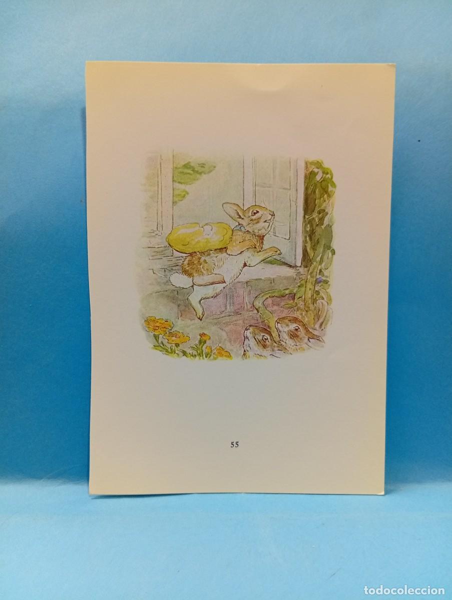 Paper Collecting Others: ILUSTRACION DE LIBROS. MEDIDAS : 13.5 X 9.5 CM APROX.