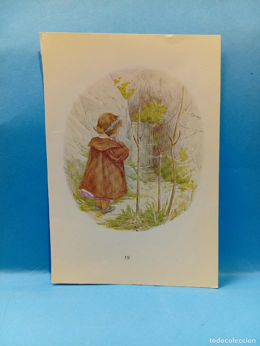 Paper Collecting Others: ILUSTRACION DE LIBROS. MEDIDAS : 13.5 X 9.5 CM APROX.