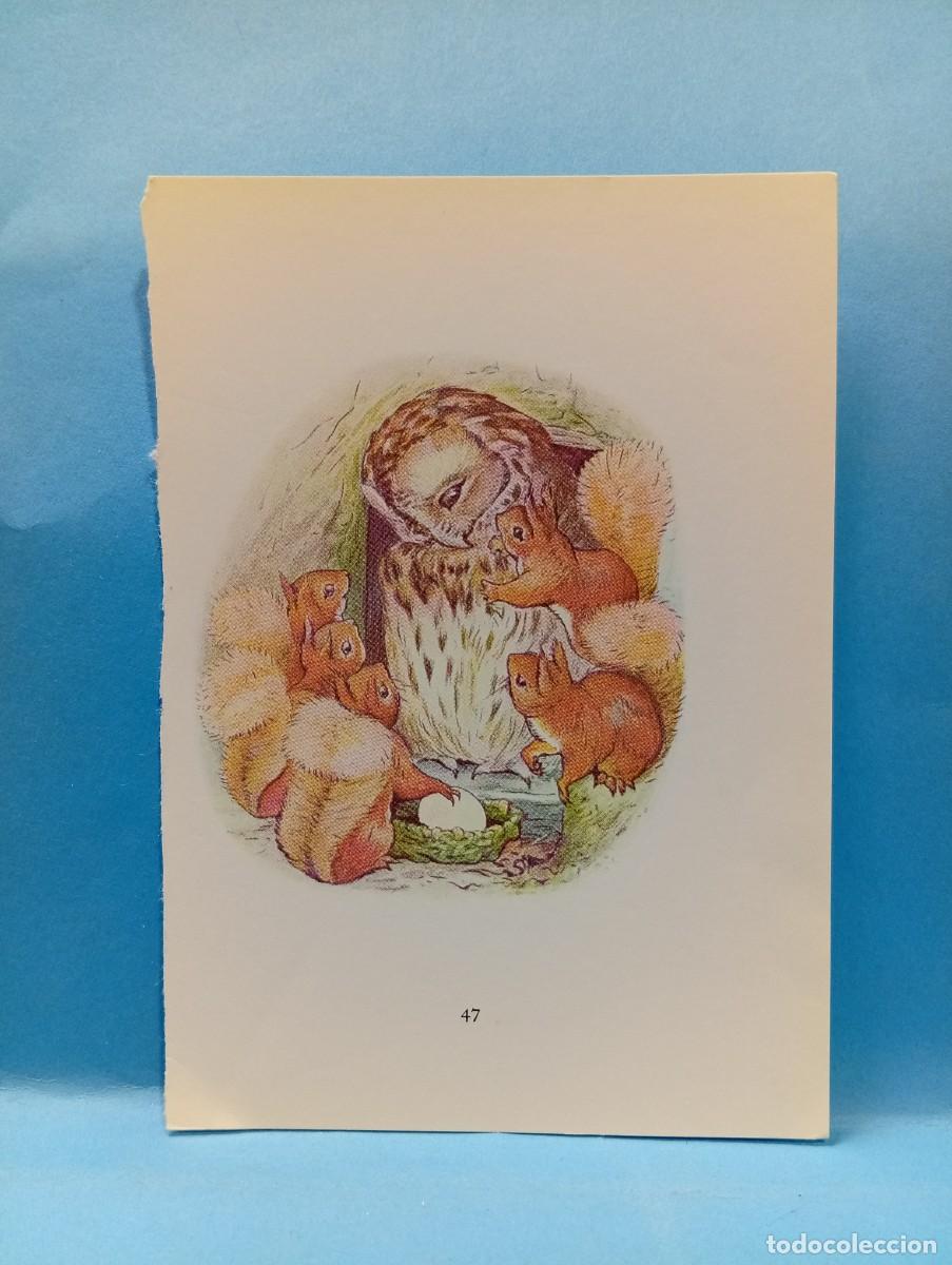 Outros artigos de papel: ILUSTRACION DE LIBROS. MEDIDAS : 13.5 X 9.5 CM APROX.