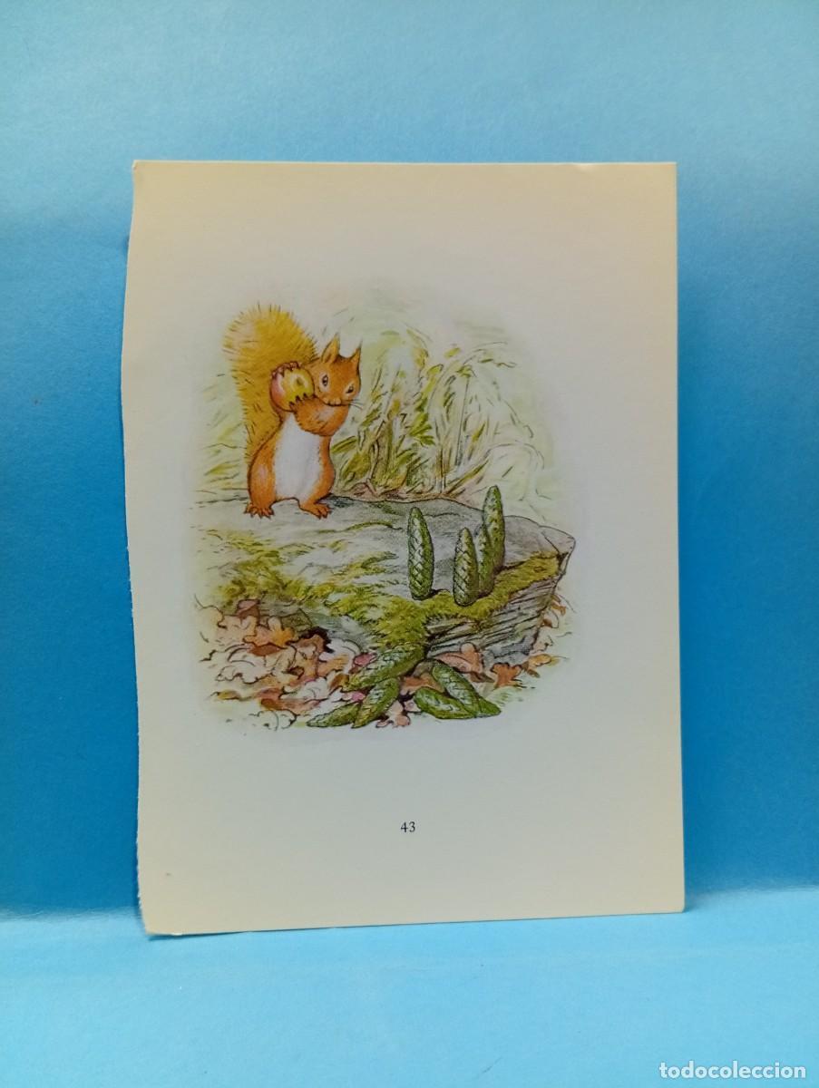 Outros artigos de papel: ILUSTRACION DE LIBROS. MEDIDAS : 13.5 X 9.5 CM APROX.
