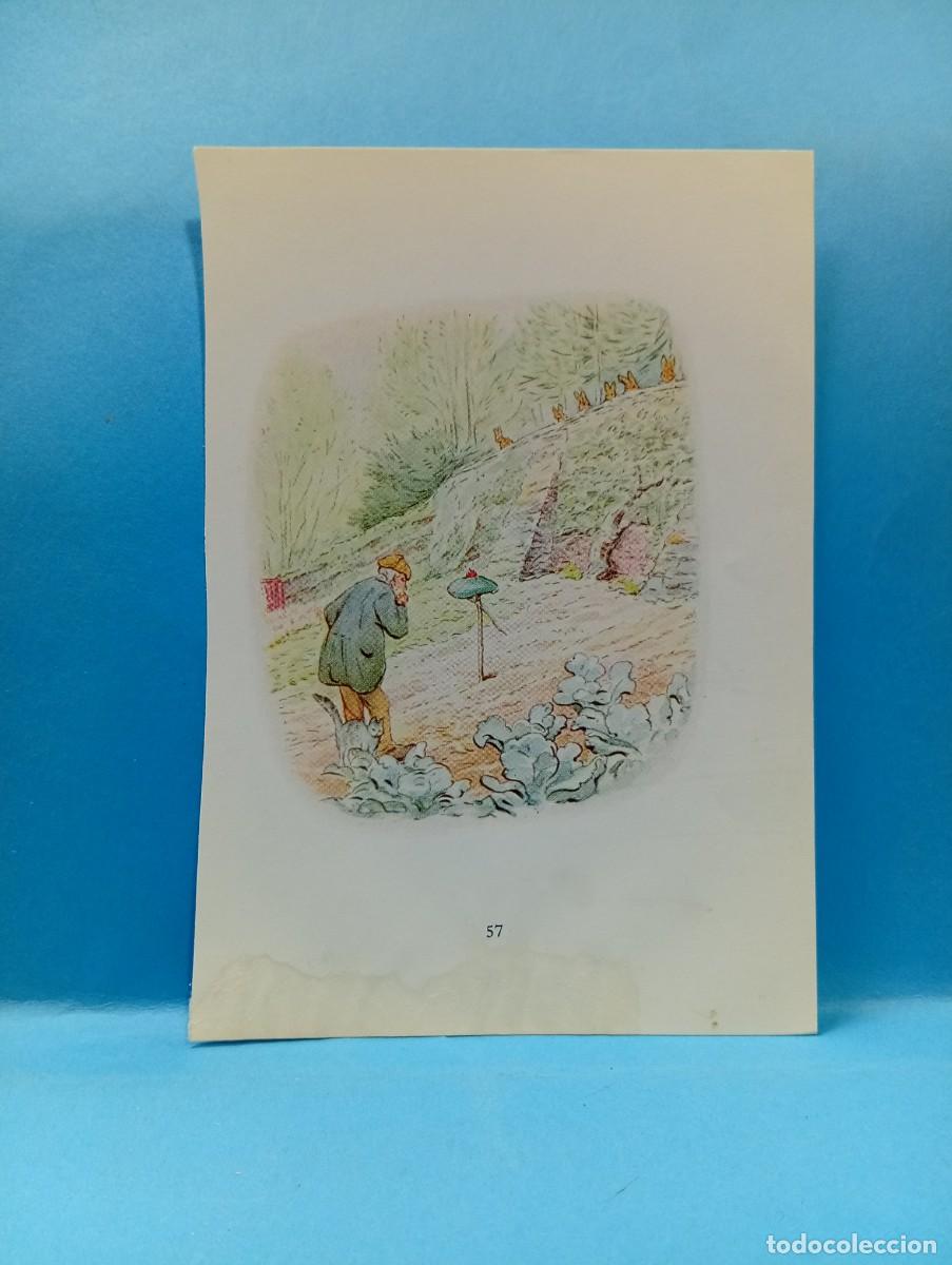 Outros artigos de papel: ILUSTRACION DE LIBROS. MEDIDAS : 13.5 X 9.5 CM APROX.