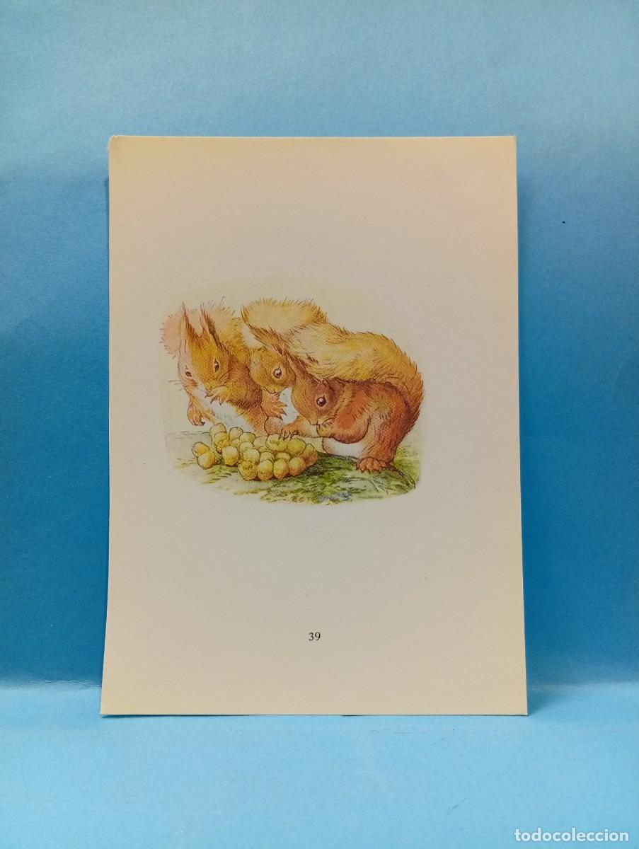 Outros artigos de papel: ILUSTRACION DE LIBROS. MEDIDAS : 13.5 X 9.5 CM APROX.