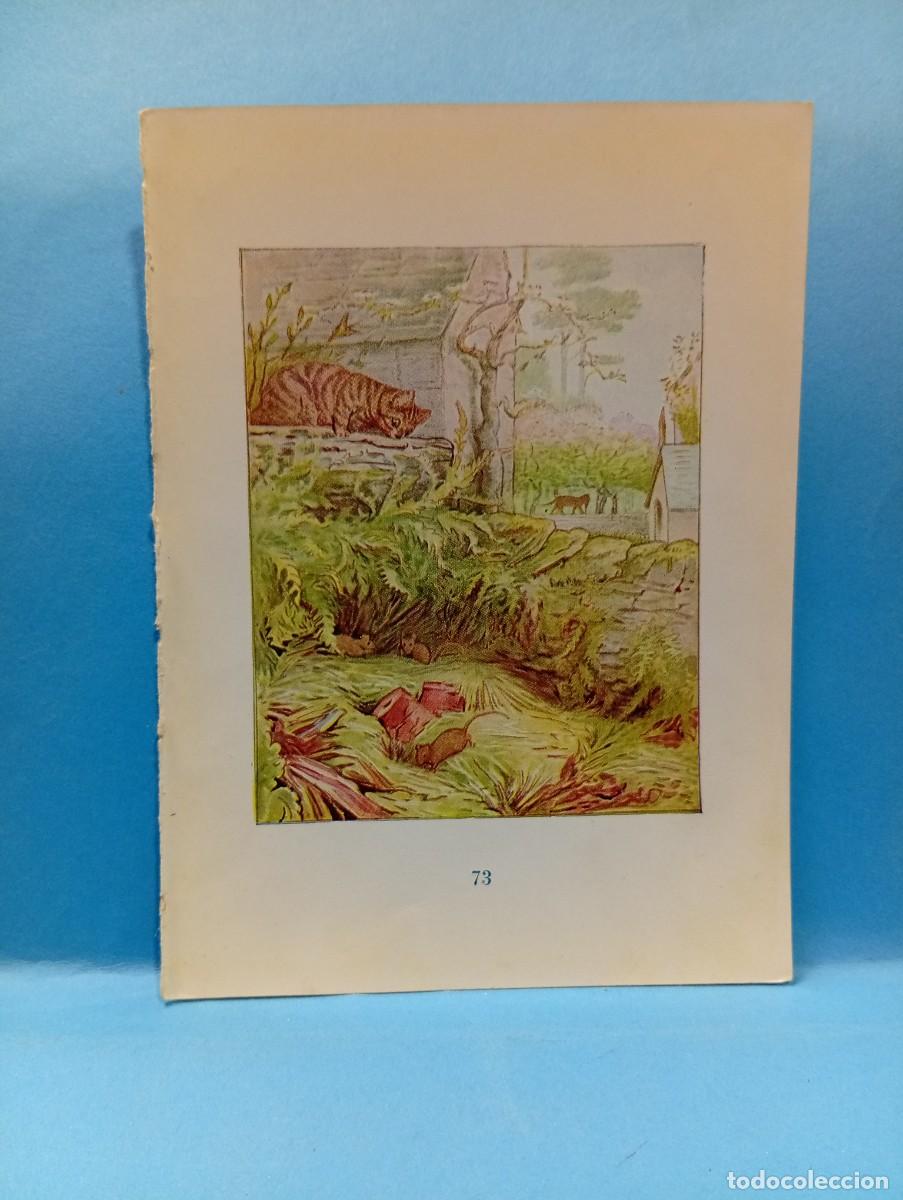 Otros Art&iacute;culos de Coleccionismo en Papel: ILUSTRACION DE LIBROS. MEDIDAS : 13.5 X 9.5 CM APROX.