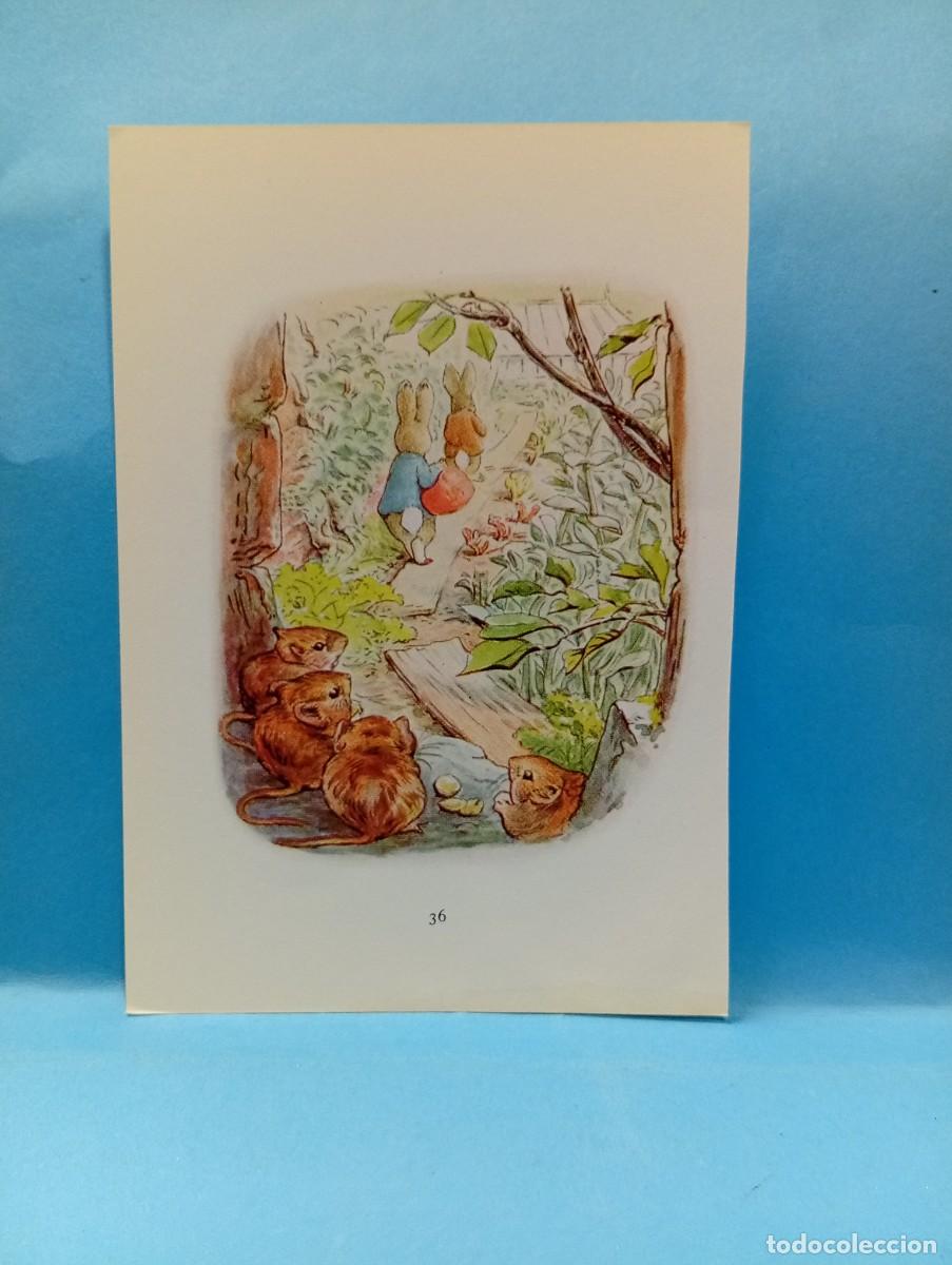 Otros Art&iacute;culos de Coleccionismo en Papel: ILUSTRACION DE LIBROS. MEDIDAS : 13.5 X 9.5 CM APROX.