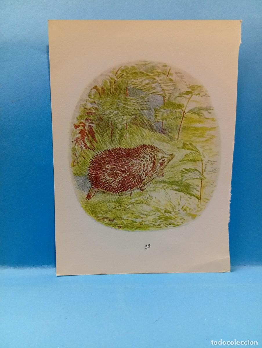 Otros Art&iacute;culos de Coleccionismo en Papel: ILUSTRACION DE LIBROS. MEDIDAS : 13.5 X 9.5 CM APROX.
