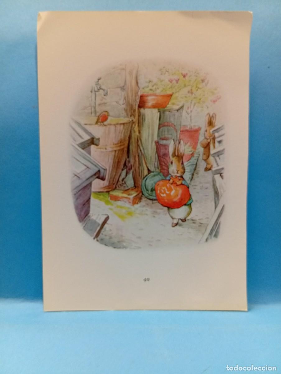 Otros Art&iacute;culos de Coleccionismo en Papel: ILUSTRACION DE LIBROS. MEDIDAS : 13.5 X 9.5 CM APROX.