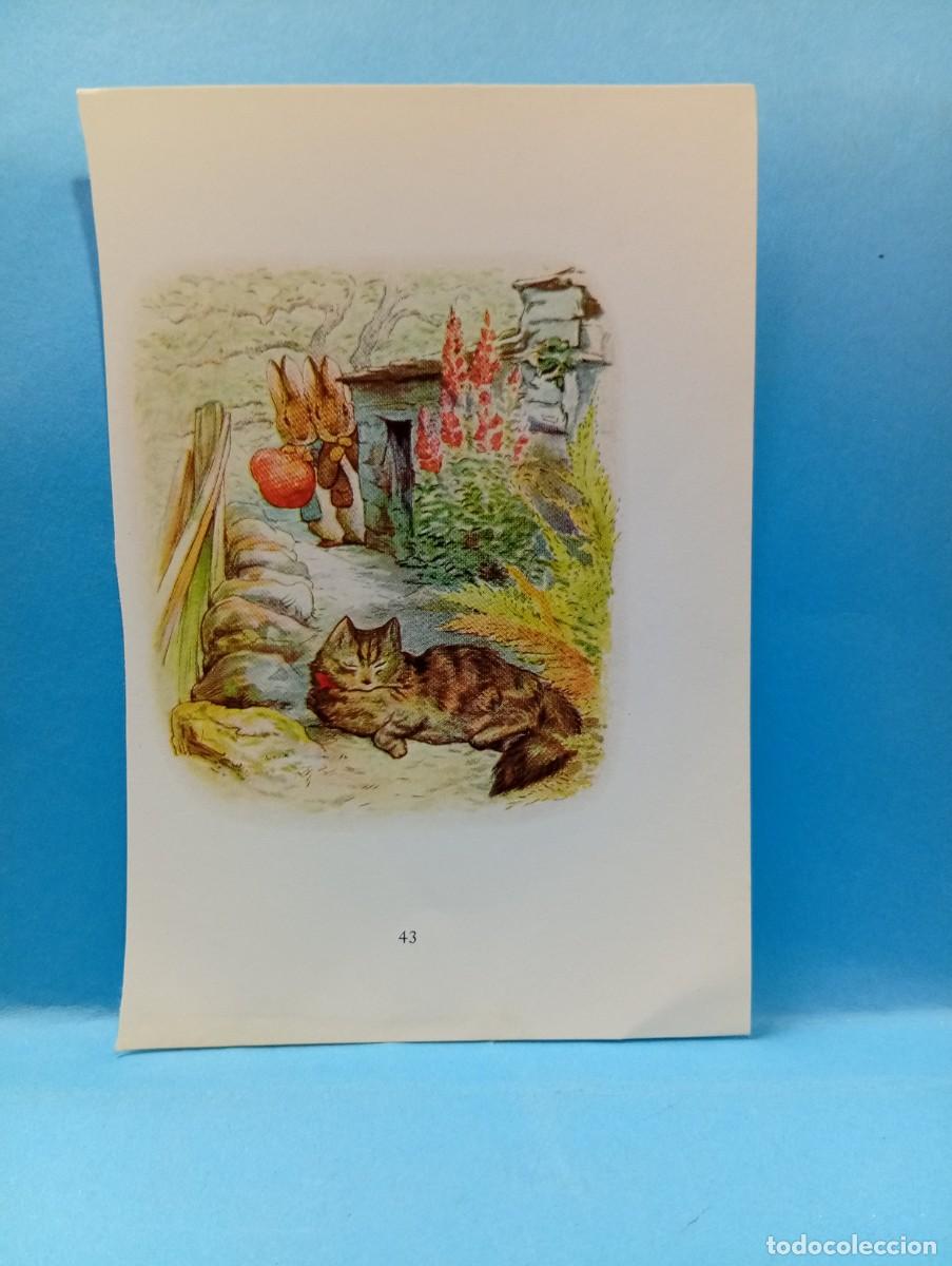 Otros Art&iacute;culos de Coleccionismo en Papel: ILUSTRACION DE LIBROS. MEDIDAS : 13.5 X 9.5 CM APROX.