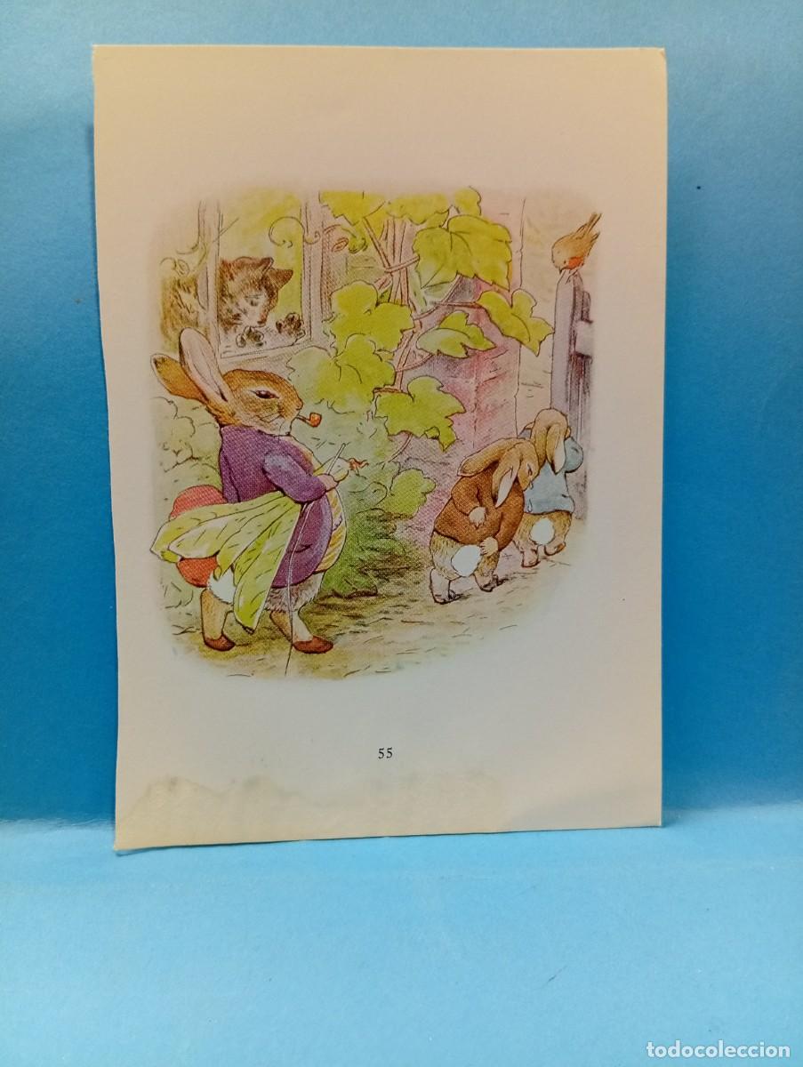 Otros Art&iacute;culos de Coleccionismo en Papel: ILUSTRACION DE LIBROS. MEDIDAS : 13.5 X 9.5 CM APROX.