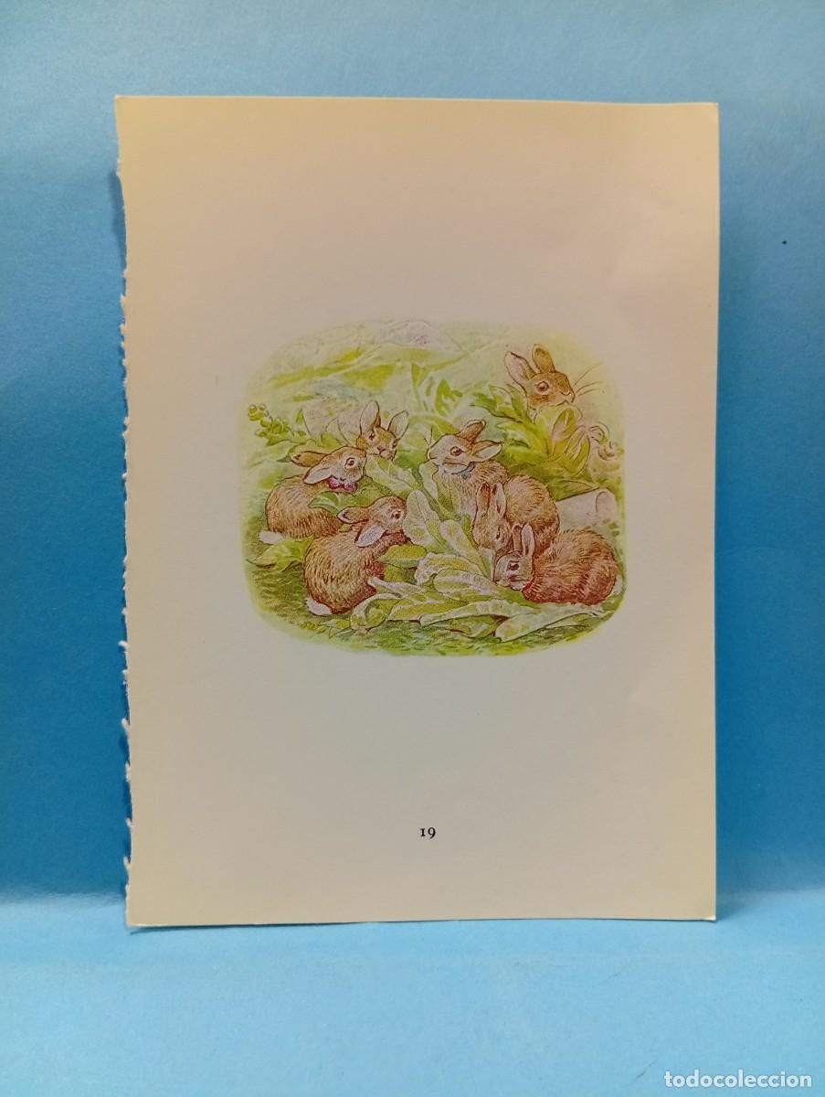 Otros Art&iacute;culos de Coleccionismo en Papel: ILUSTRACION DE LIBROS. MEDIDAS : 13.5 X 9.5 CM APROX.