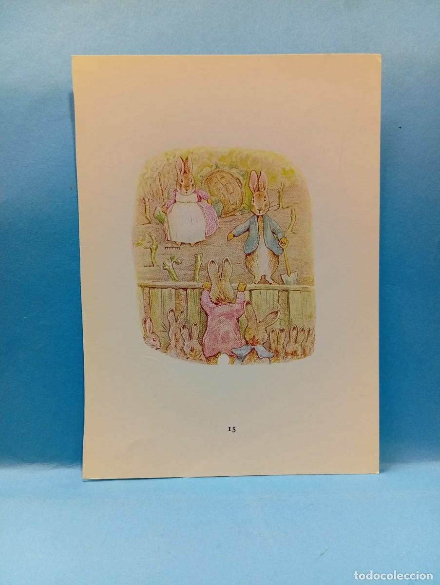 Otros Art&iacute;culos de Coleccionismo en Papel: ILUSTRACION DE LIBROS. MEDIDAS : 13.5 X 9.5 CM APROX.