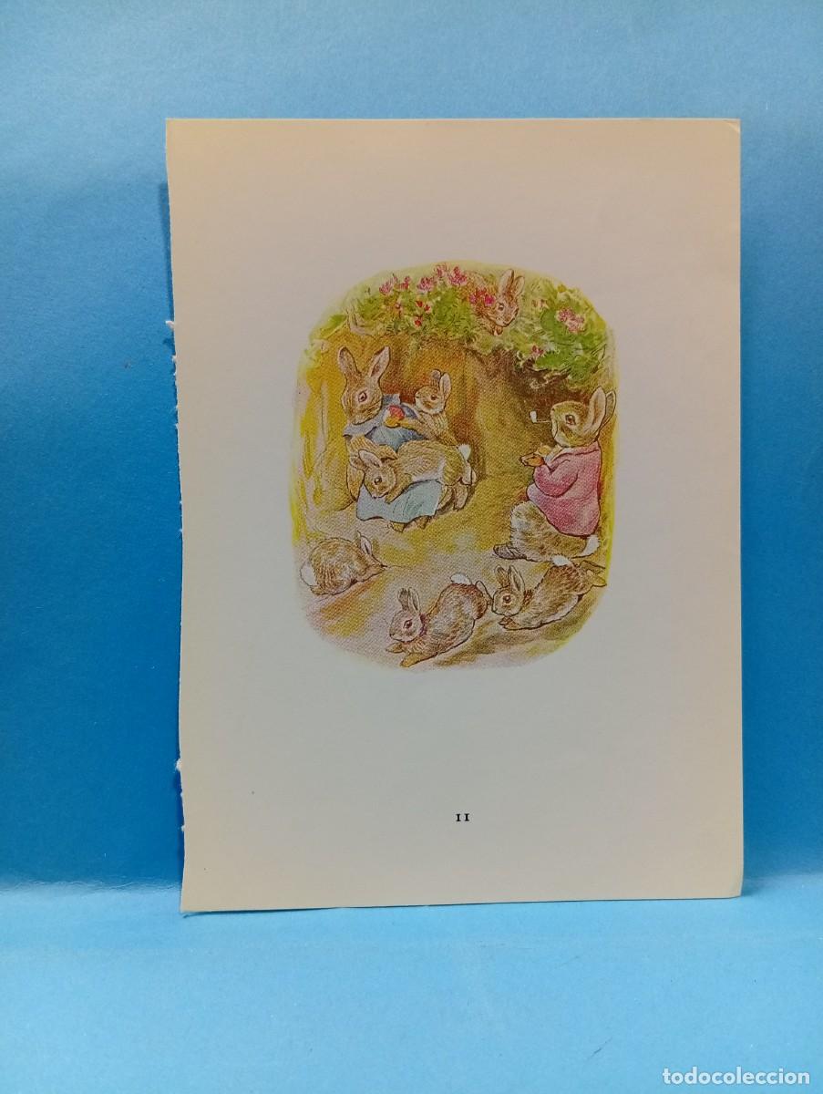 Otros Art&iacute;culos de Coleccionismo en Papel: ILUSTRACION DE LIBROS. MEDIDAS : 13.5 X 9.5 CM APROX.