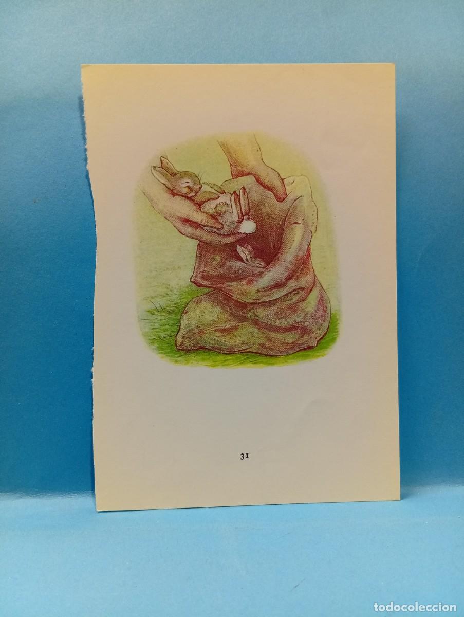 Otros Art&iacute;culos de Coleccionismo en Papel: ILUSTRACION DE LIBROS. MEDIDAS : 13.5 X 9.5 CM APROX.