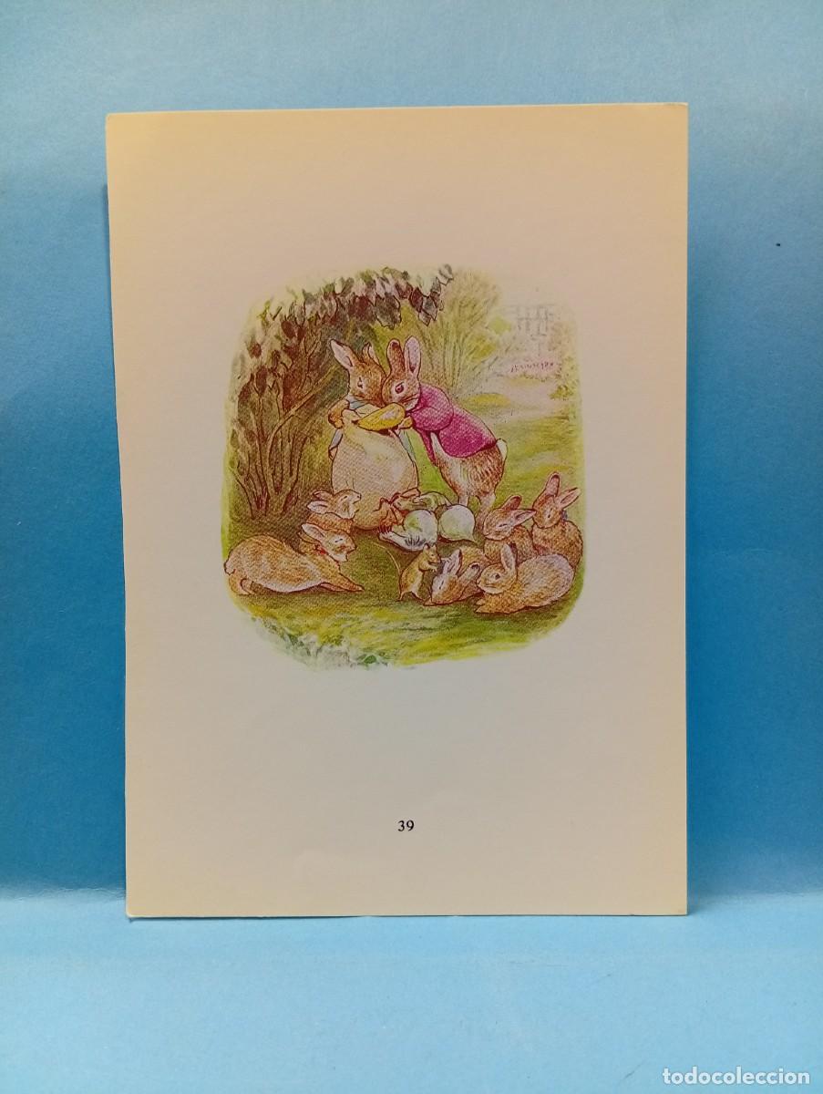 Otros Art&iacute;culos de Coleccionismo en Papel: ILUSTRACION DE LIBROS. MEDIDAS : 13.5 X 9.5 CM APROX.
