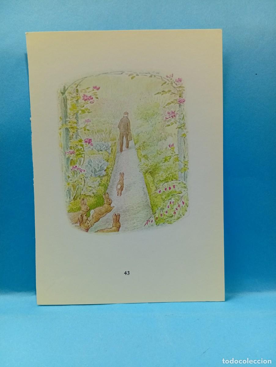 Otros Art&iacute;culos de Coleccionismo en Papel: ILUSTRACION DE LIBROS. MEDIDAS : 13.5 X 9.5 CM APROX.