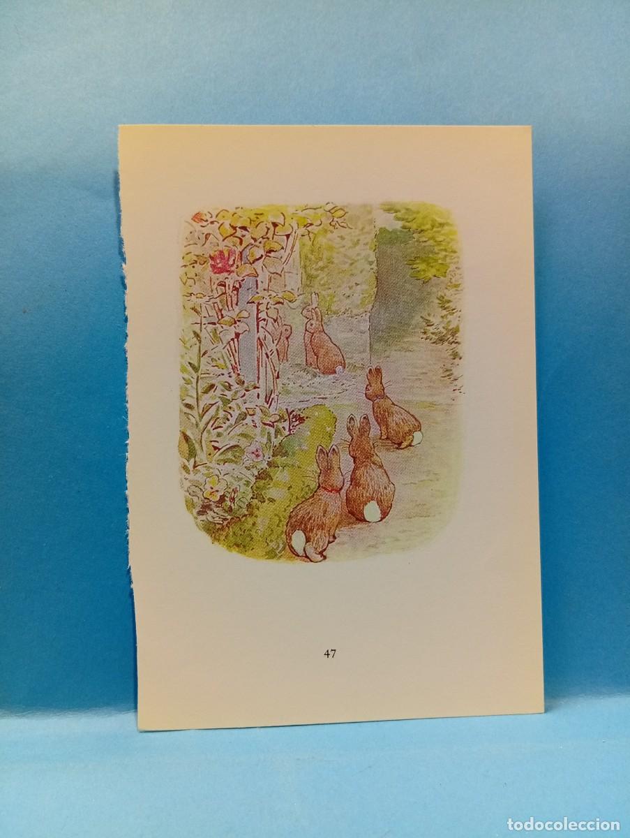 Otros Art&iacute;culos de Coleccionismo en Papel: ILUSTRACION DE LIBROS. MEDIDAS : 13.5 X 9.5 CM APROX.