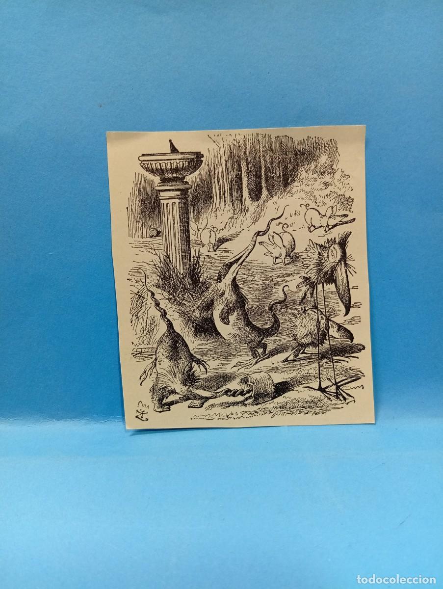 Otros Art&iacute;culos de Coleccionismo en Papel: ILUSTRACION DE LIBROS. MEDIDAS : 8.5 X 7.5 CM APROX.