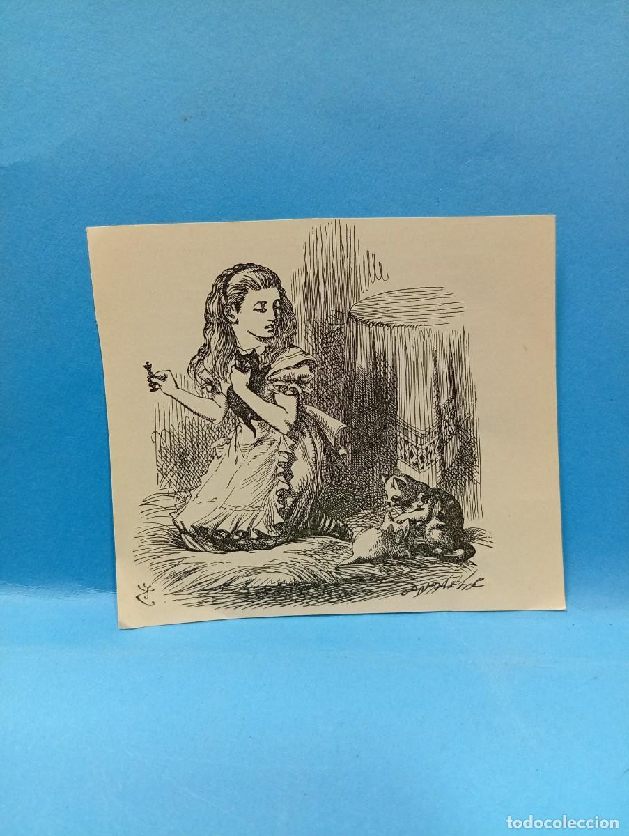Otros Art&iacute;culos de Coleccionismo en Papel: ILUSTRACION DE LIBROS. MEDIDAS : 7.5 X 8.5 CM APROX.