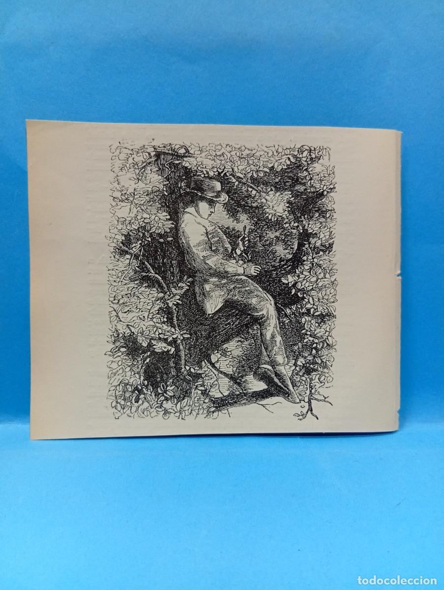 Sammelleidenschaft Andere Papierartikel: ILUSTRACION DE LIBROS. MEDIDAS : 10 X 12.5 CM APROX.